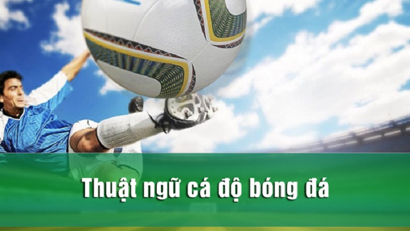 Giải mã các thuật ngữ cá độ bóng đá